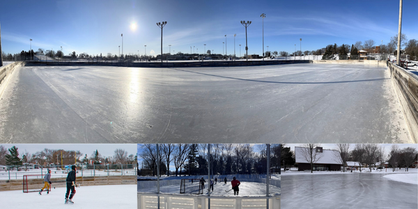 Web Ice Rinks 2025