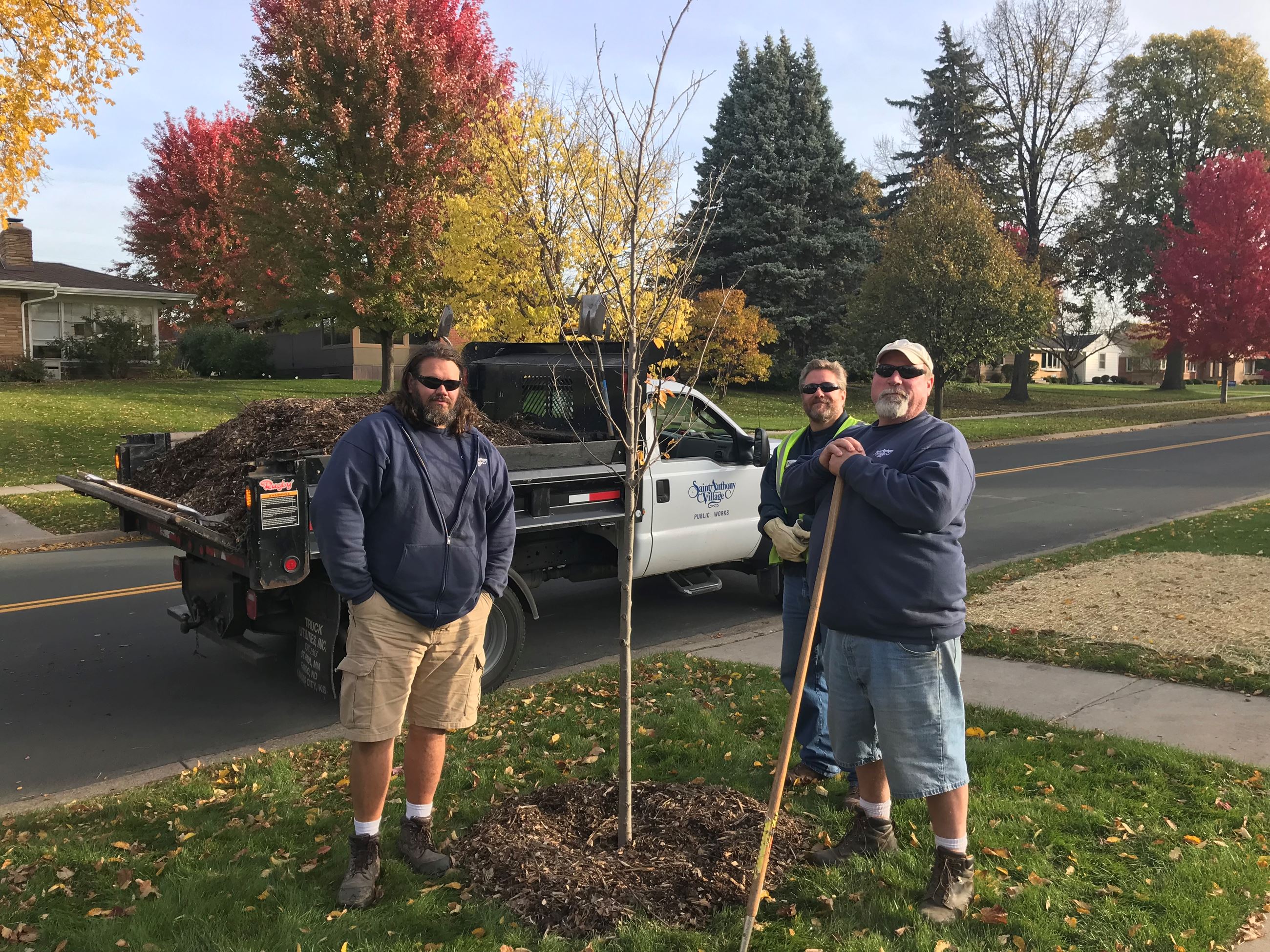 Public Works crew by tree