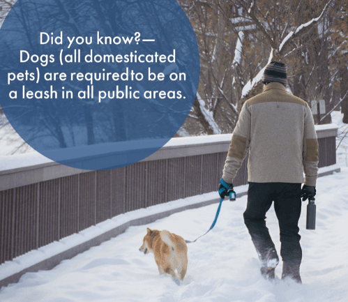 SAV dog leash required