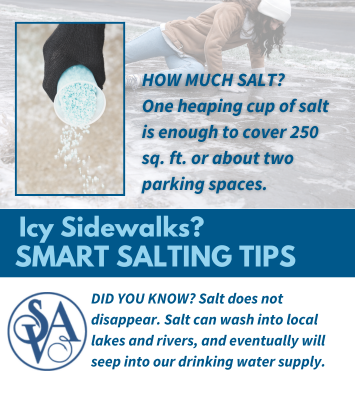 web -SMART SALTING FOR SAFETY (355 x 400 px)